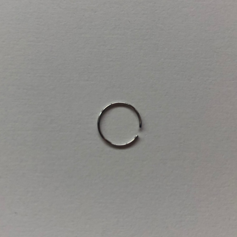 Fake Nose Rings - Picture 3 of 3